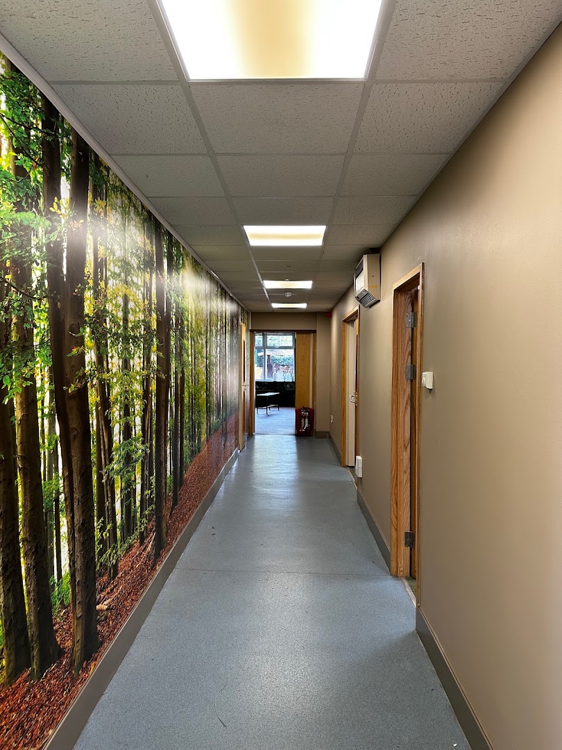LSM Painting Specialists — Photos 10